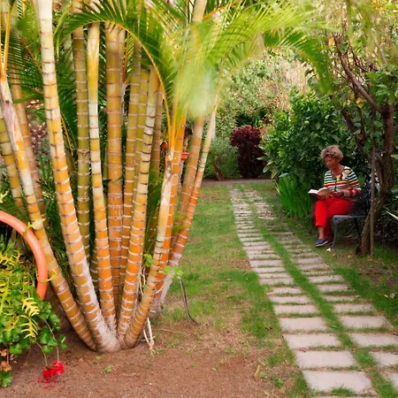 Resort Adjovimar