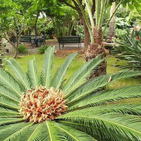 Adjovimar Resort Los Llanos De Aridane