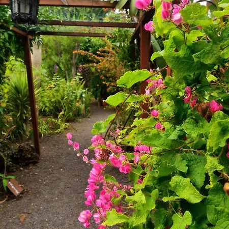 Adjovimar Resort