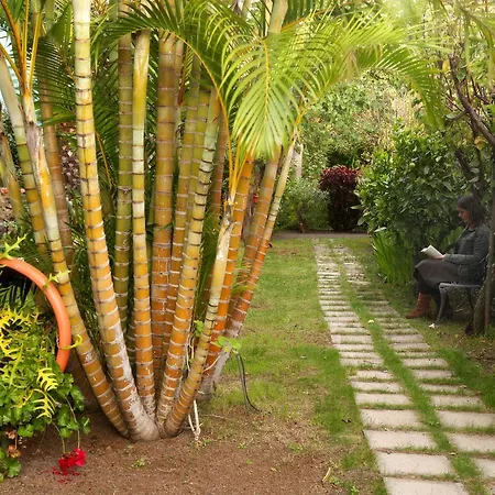 Adjovimar Resort 2*