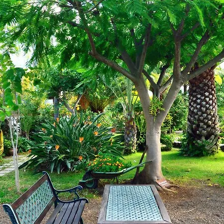 Resort Adjovimar Los Llanos De Aridane