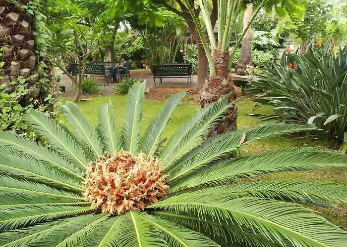 Adjovimar Resort Los Llanos De Aridane